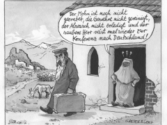 Greser&Lenz fÃ¼r die Sonntagszeitung, 28.11.2002, Afghanistankonferenz, die Zweite