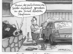 ein kommentatorenalbtraum