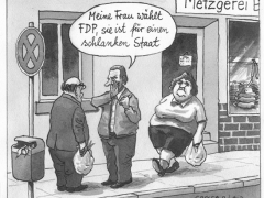 fdp, schlanker staat