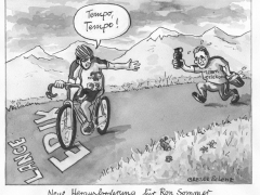 Herausforderung Ron Sommer