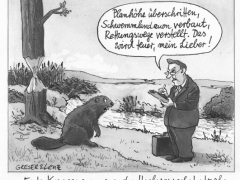 Greser&Lenz fÃ¼r die Politik, 28.8.2002, Hochwasserkatastrophe, Konsequenzen, Biber