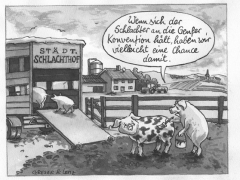 irakkrieg,getarnte schweine