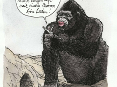 king kong liebt osama bin laden