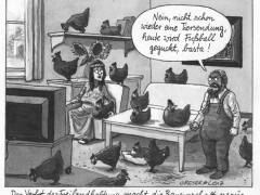 vogelgrippe, freilandhalteverbot, fernseher