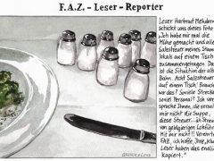 FAZ-Leser-Reporter, Mehdorn, Salzstreuer