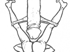 ddr versaut, aufmacher