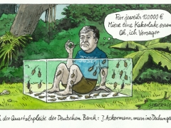 Ackermann im Dschungelcamp