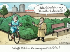 Mehdorn privat, Fahrkartenkontrolle