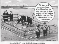 Vertrauensfrage in Kiel, Kuhfladenlotto