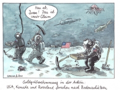 Arktis, Bodenschätze