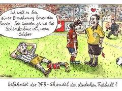 dfbskandalschwuleschiedsrichter