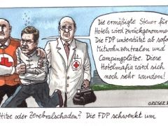 FDP schwenkt um, hotelsteuer, Westerwelle
