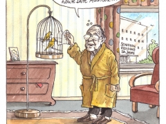 genschervorvogelkaefig2