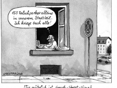 googlestreetvielfalschparker