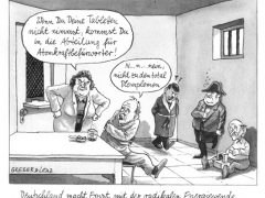 Atomausstieg, Irrenanstalt