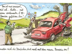 e10benzinbesoffenerunfall