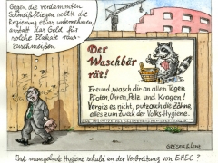 EHEC, Hygiene, Waschbär