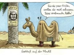 Gaddafi auf der Flucht