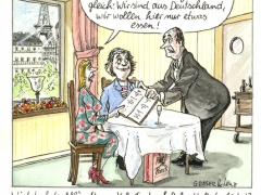 Strauss Kahn Affäre