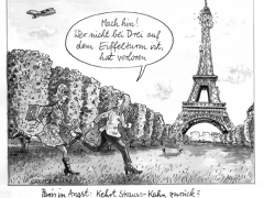 strausskahnkehrtheimnachparis