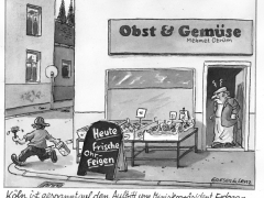 Erdogan in Deutschland