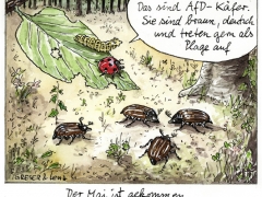 AFD-Käfer