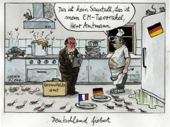 EM-Tierorakel, Kakerlaken, 2