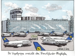 Vogelgrippe am Frankfurter Flughafen