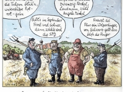 Bauernregeln für die Wahl