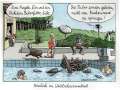 Biber im Freibad