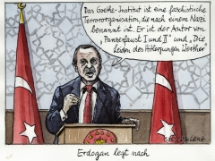 Erdogan, Goethe