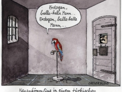 Papagei im türkischen Gefängnis