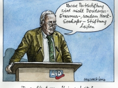 AfD, horst-Seehofer-Stiftung