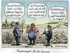 Bauernregeln für den Sommer