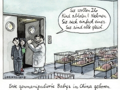 Chinesische Genbabys KORREKTUR