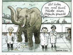 Aus einer Mücke einen Elefanten machen