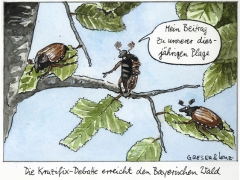 Maikäferplage, Kruzifix