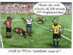 SPD-Mitgliederentscheid