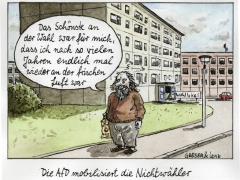 Niechtwähler AfD