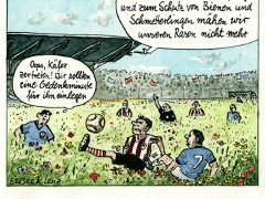Fußball auf Sommerwiese