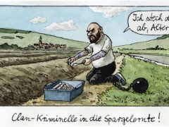 Clankriminelle, Spargelernte