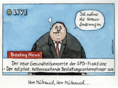 SPD-Postenvergabe, mützenich