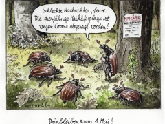 Maikäferplage 2020
