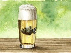 Staat und Recht, Piranha im Bierglas