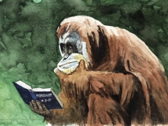 Staat und Recht, Orabg Utan liest Horoskop