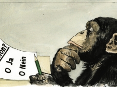 Staat und Recht, Schimpanse wählt