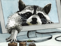 Staat und Recht, Waschbär klaut Pralinen