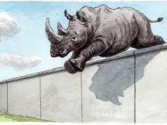 Nashorn springt über Mauer