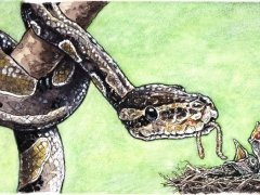 Schlange füttert Vogel