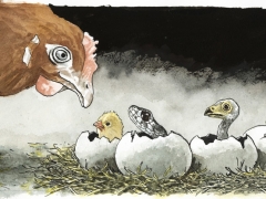 Staat und Recht, Huhn mit verschiedenen Jungen